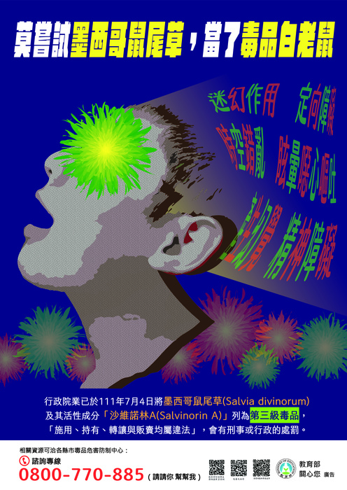 莫嘗試墨西哥鼠尾草