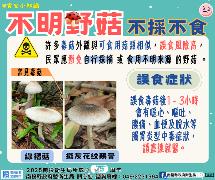 不明野菇不採不食圖片